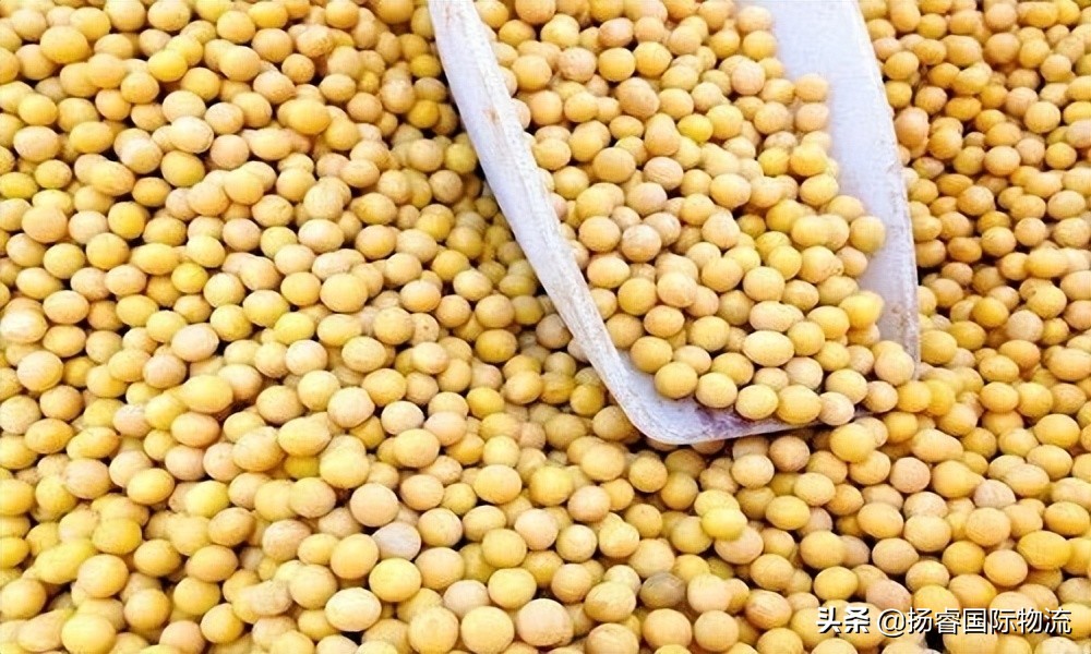 转基因大豆进口报关流程,转基因大豆进口税