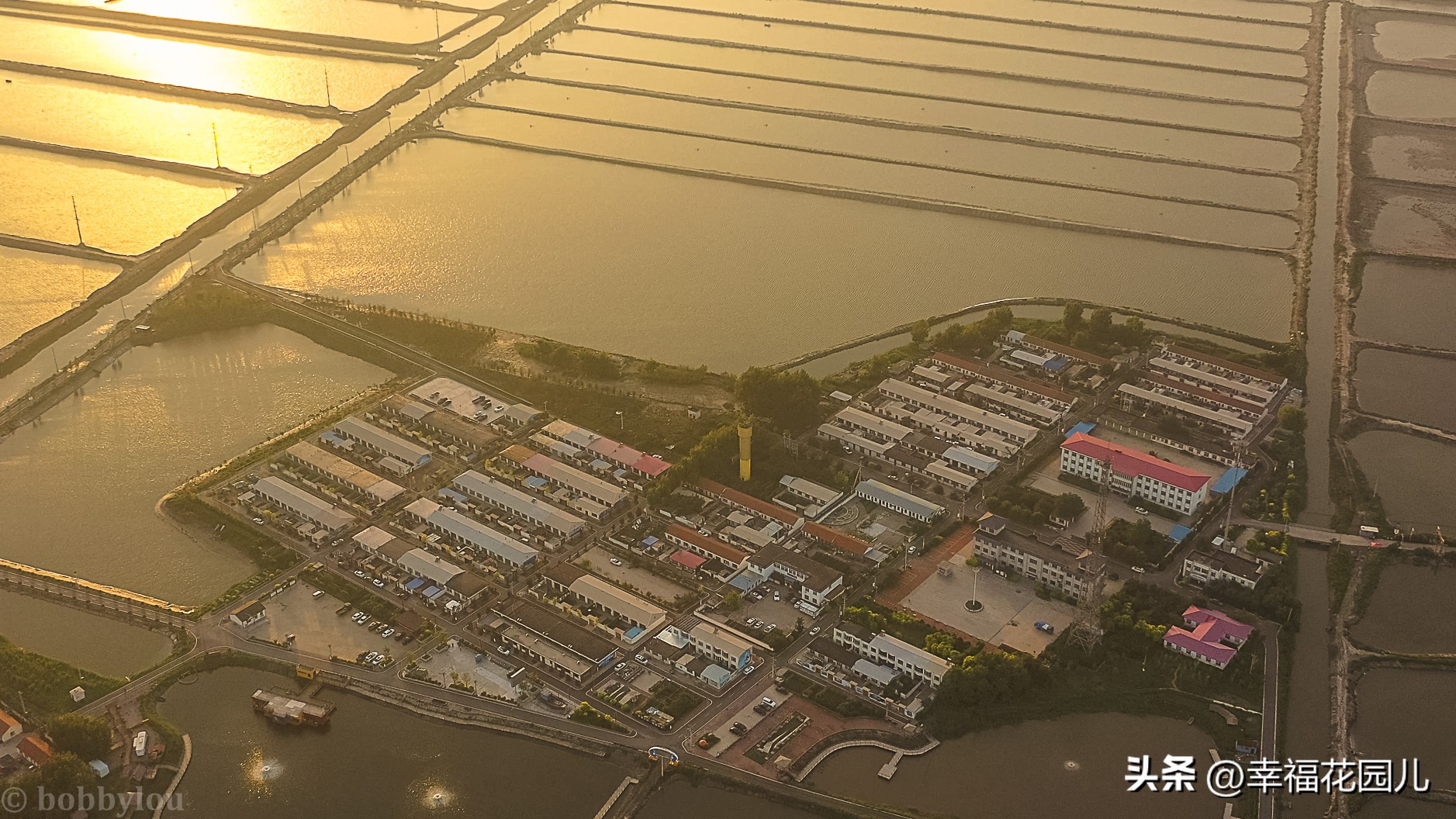 美味河豚有多金贵？养殖就有多娇贵！十里海河豚小镇探秘美食之源