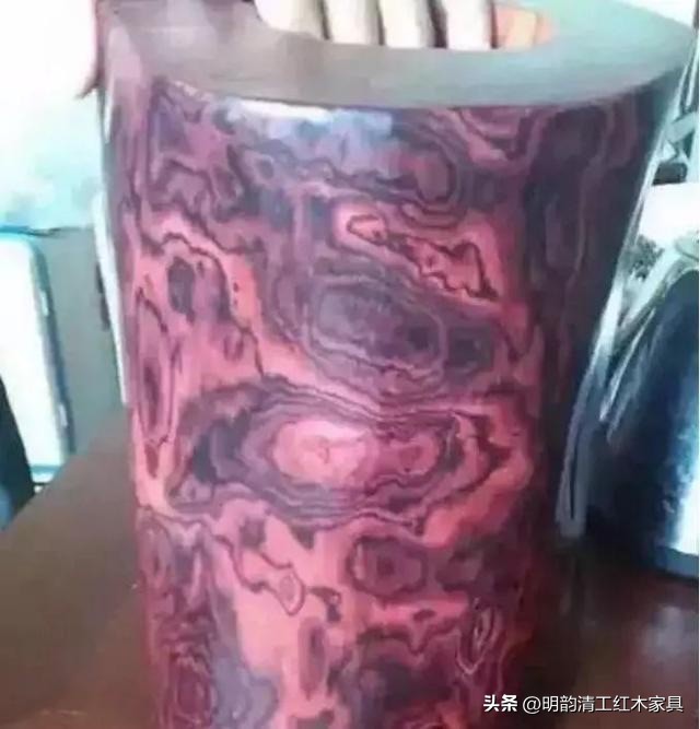 珍稀木材海南黄花梨,什么木比海南黄花梨更贵