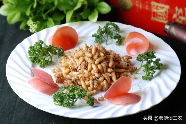 胡蜂人工养殖技术全套教程,农村00后小伙创业养殖胡蜂