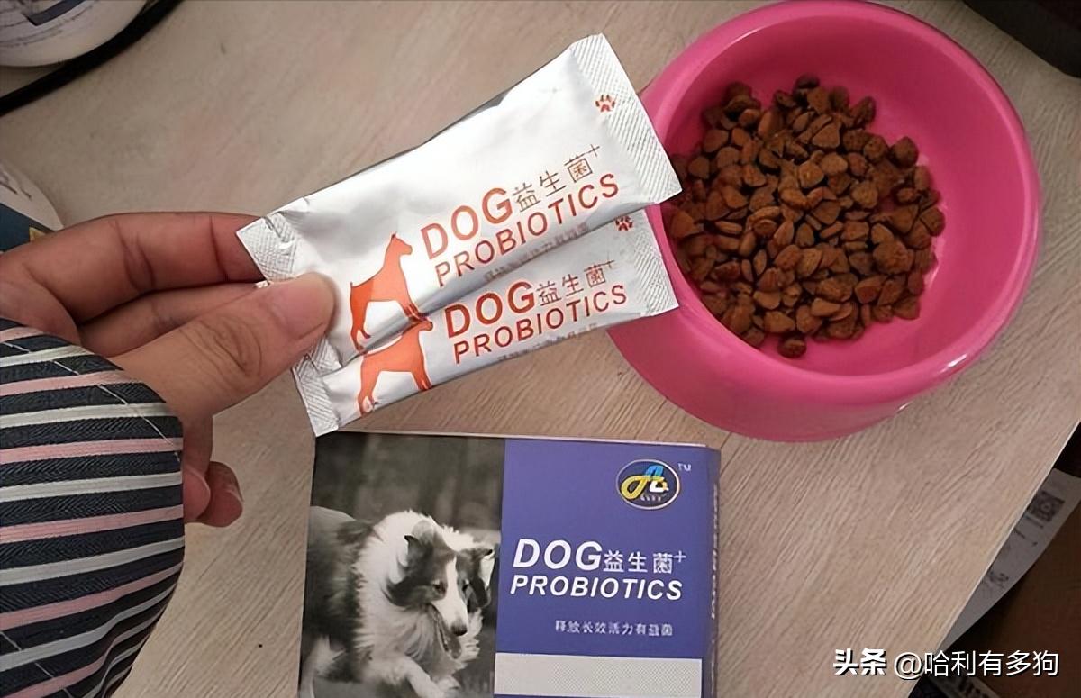 狗狗消化不良拉稀呕吐怎么办,狗狗消化不良呕吐白沫怎么处理