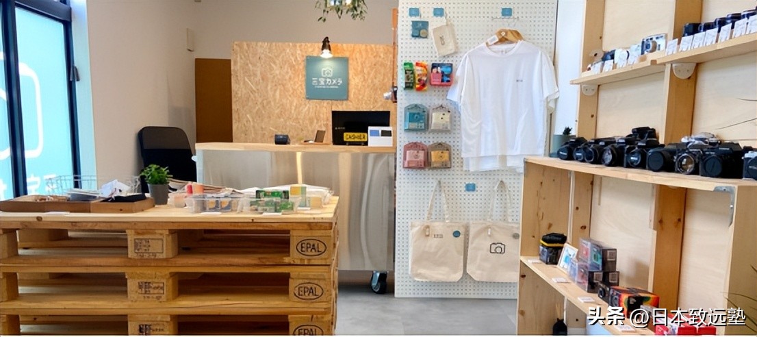 artfestival有什么活动,artfestival在哪一天