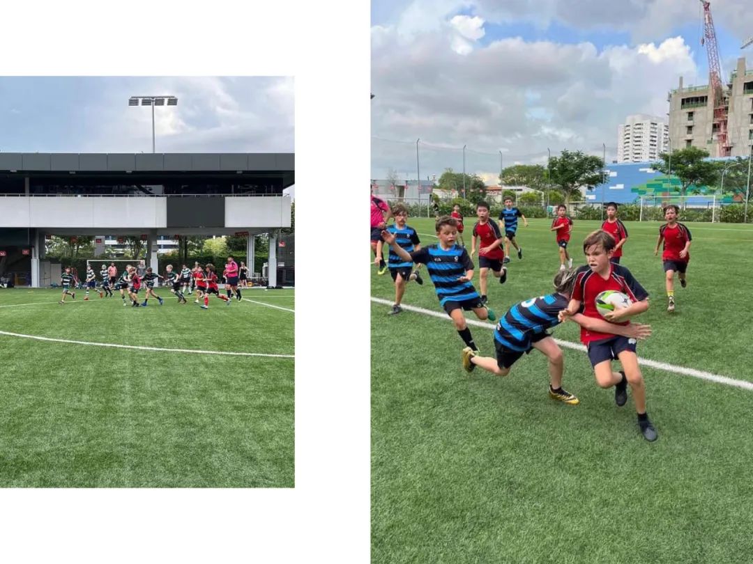 体育特长生有被清华录取吗,美国大学为什么喜欢招体育特长生