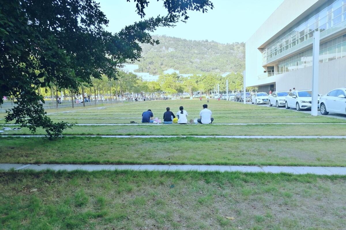 汕头大学专业查询,汕头大学学科一览表