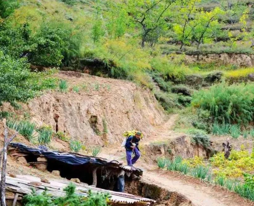 越南新娘黑色产业链,纪录片揭开越南新娘真面目