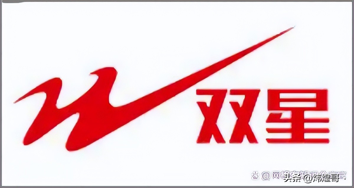 国内品牌运动服排行榜前十名,运动服的国产品牌名称和商标