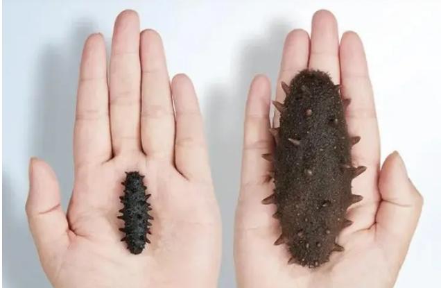 海参哪个牌子好带礼盒,海参的品牌哪个最好