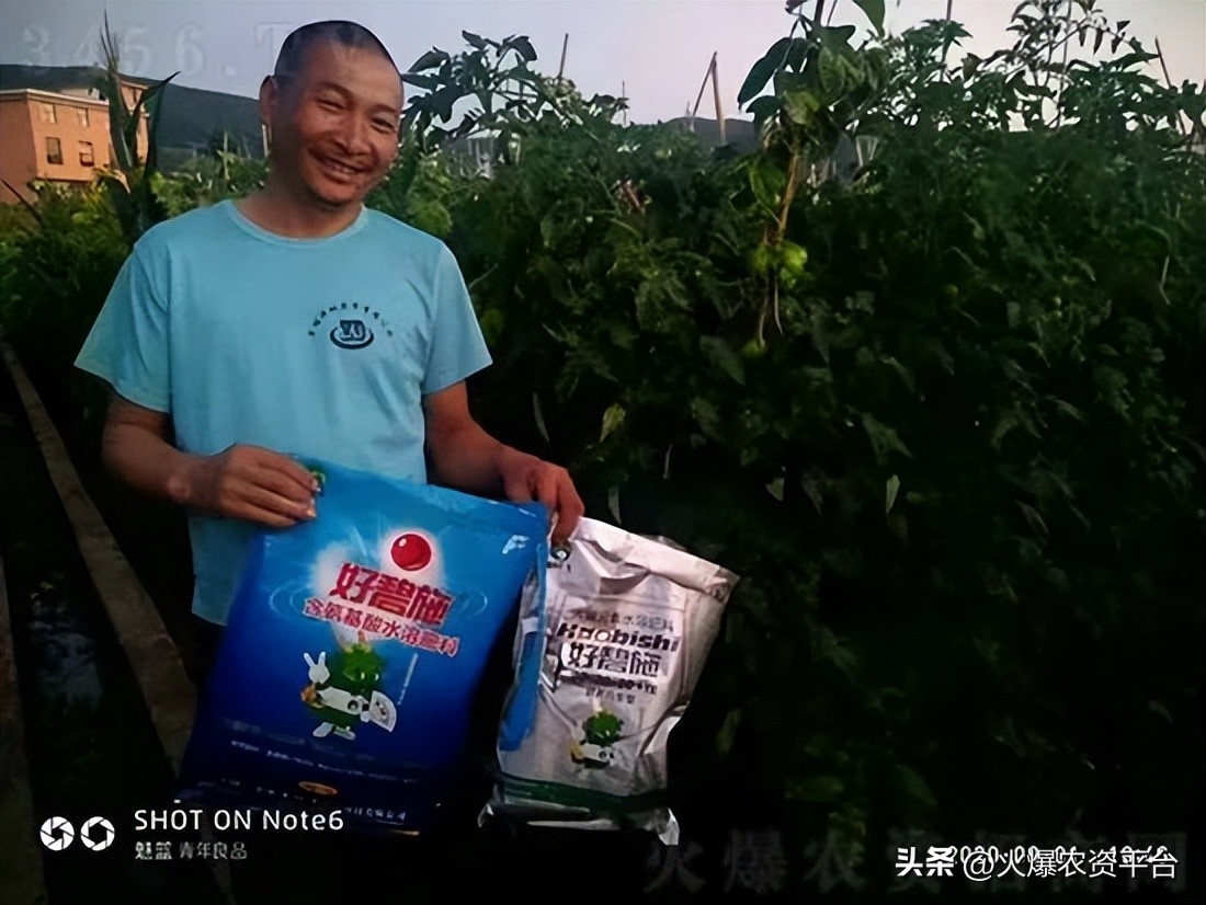 氨基酸肥料的9大优势,做农资需要掌握的知识