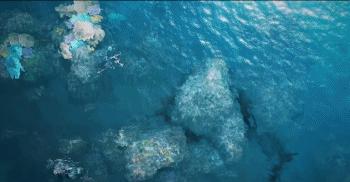 黑鲨手游凉了吗,黑鲨手游端游