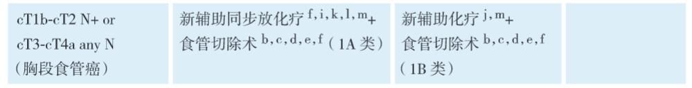 食管癌t3n3能治吗,食管癌T3期严重吗