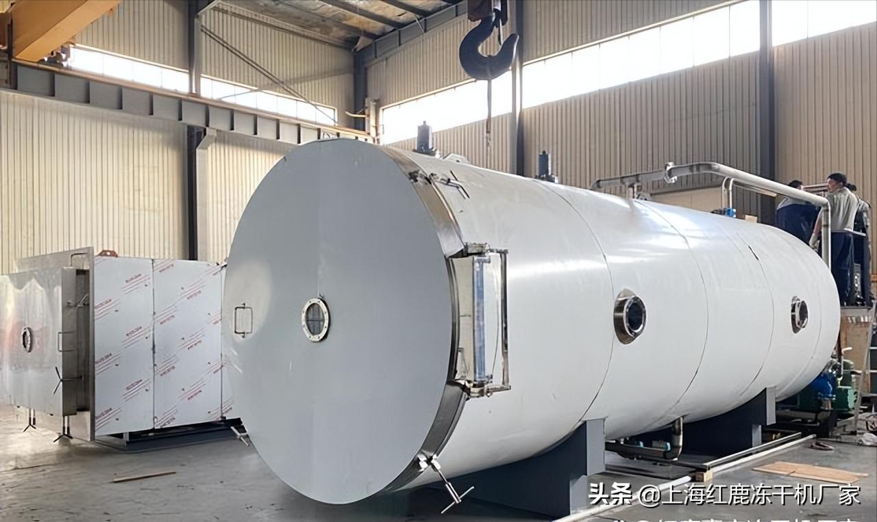食品冷冻干燥机参数,福建冻干机真空冷冻干燥机