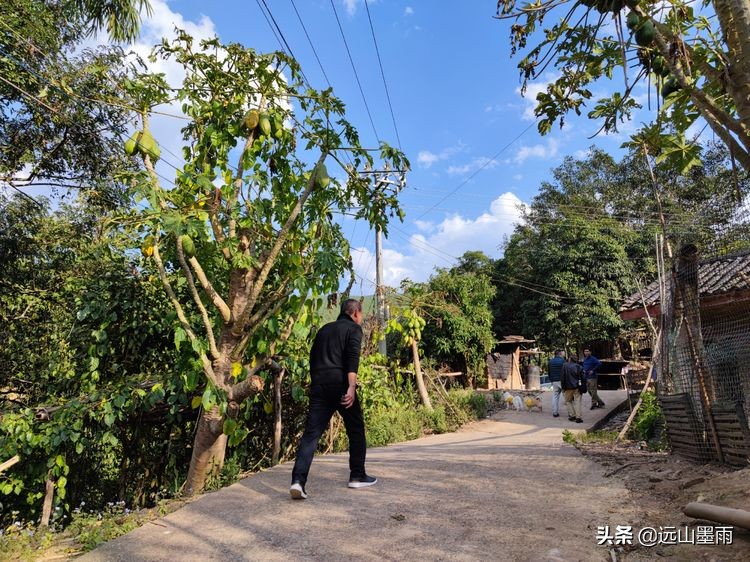 溪流潺潺、白茅飘飘，鲟鱼肥硕、菜蔬新鲜，景谷铁厂河畔的慢时光