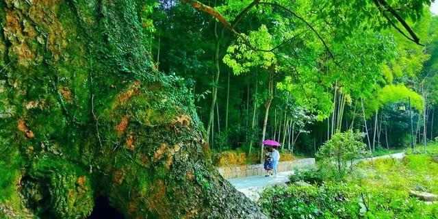 情感故事1：加油！于桐