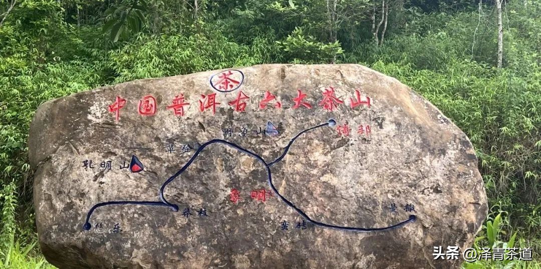 易武六大茶山茶的特点,易武茶的特点