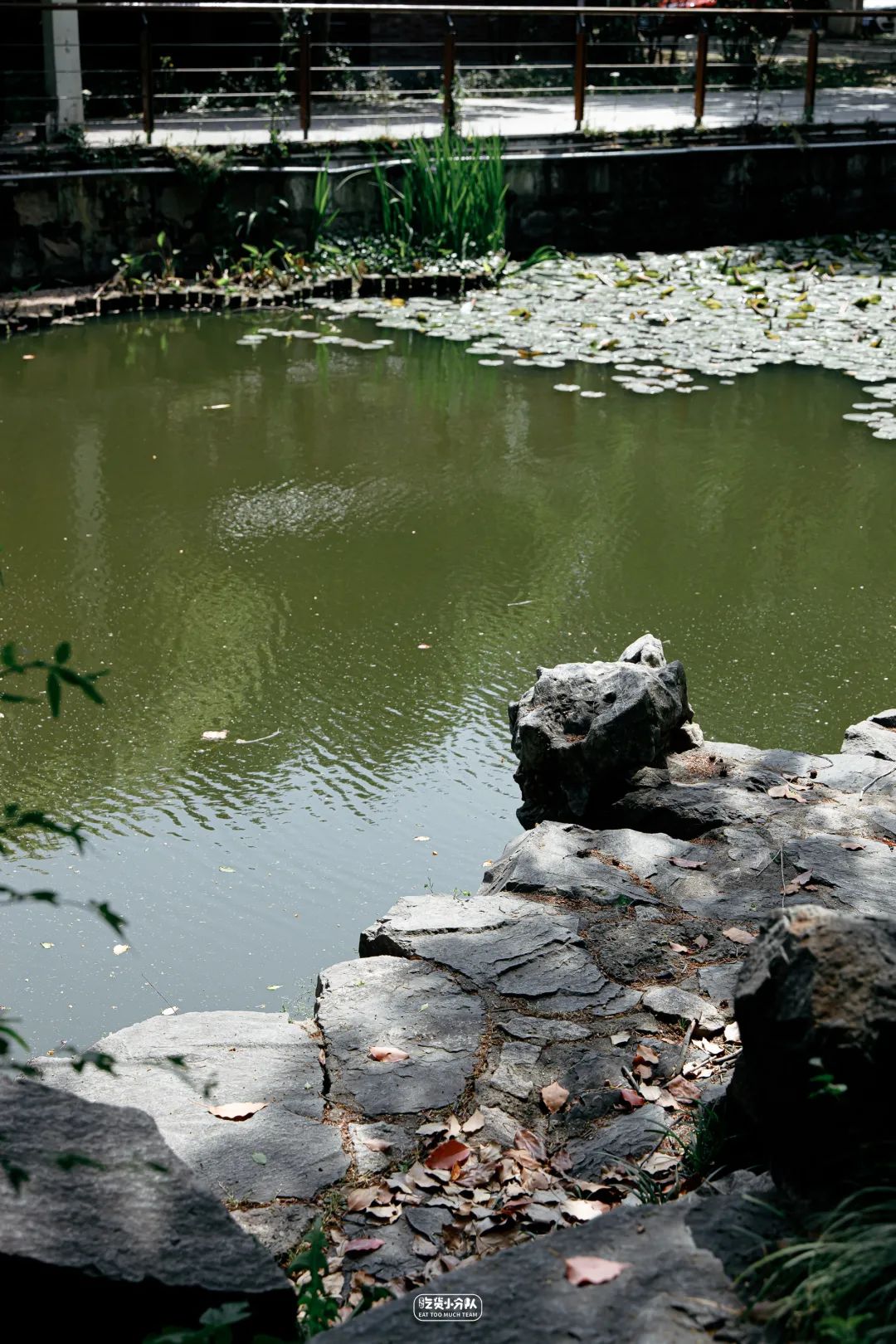 办一张上海的大学饭卡,上海哪个大学可以办理饭卡