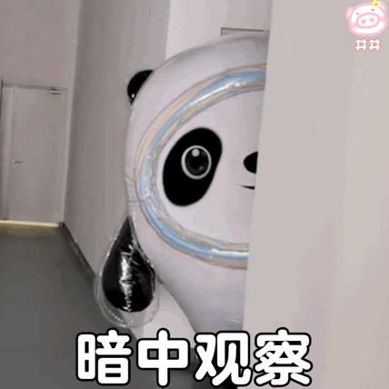 盐城警方破获诈骗案,盐城破获冰墩墩电诈案