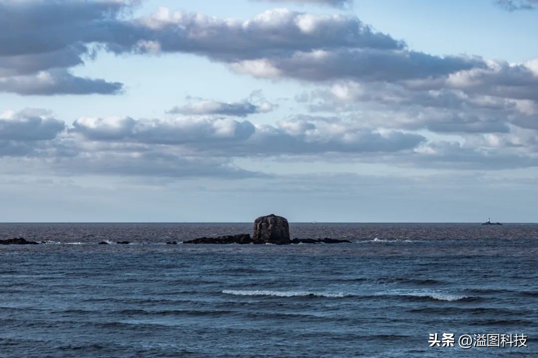 网友推荐好物,网友推荐的好物