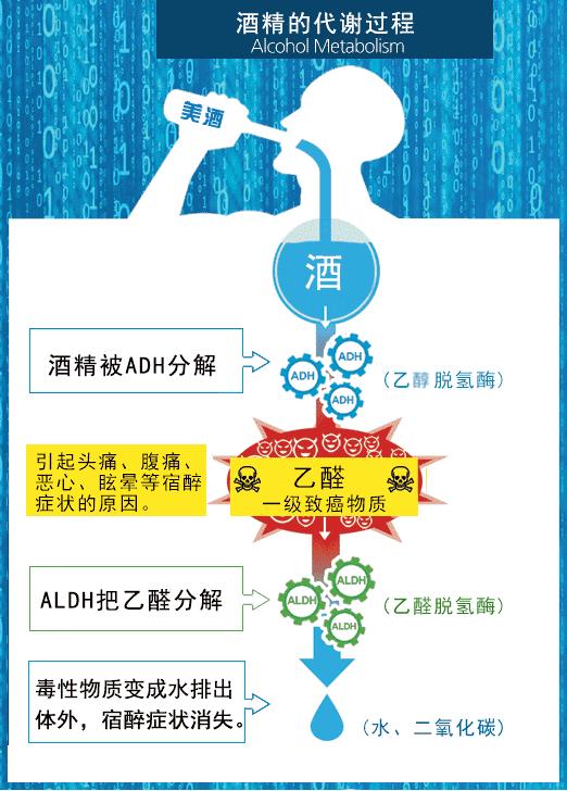 喝酒人脸红是过敏吗,喝酒脸红的人是不是基因有问题