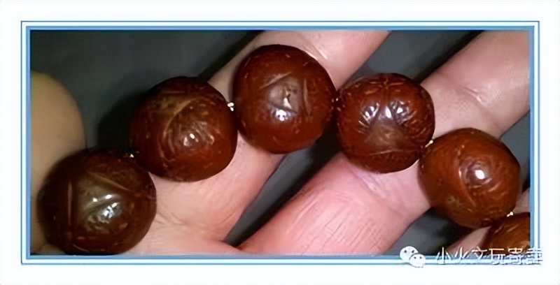 凤眼菩提2022,2023凤眼菩提