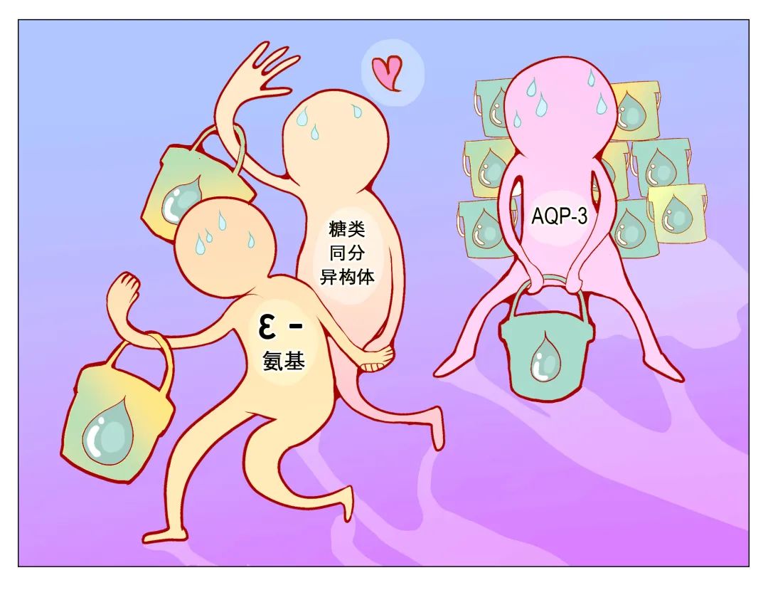 扒一扒10个最容易搞错的护肤知识,护肤抗衰不走弯路