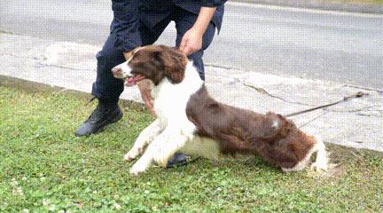 阿尔法日记美白乳,阿尔法的日记