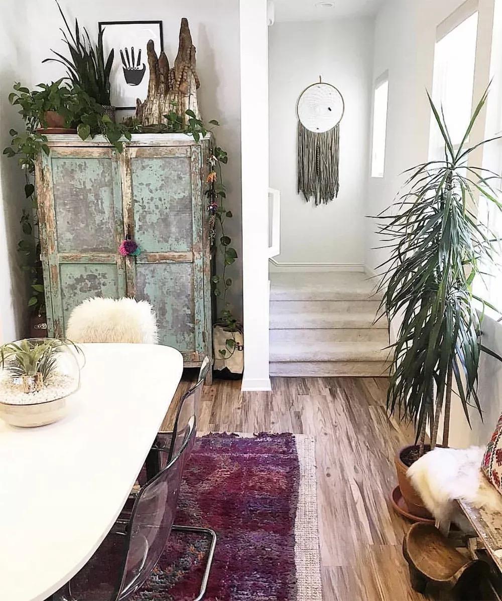 客厅实用盆栽植物有哪些,客厅一般放什么植物盆栽比较好