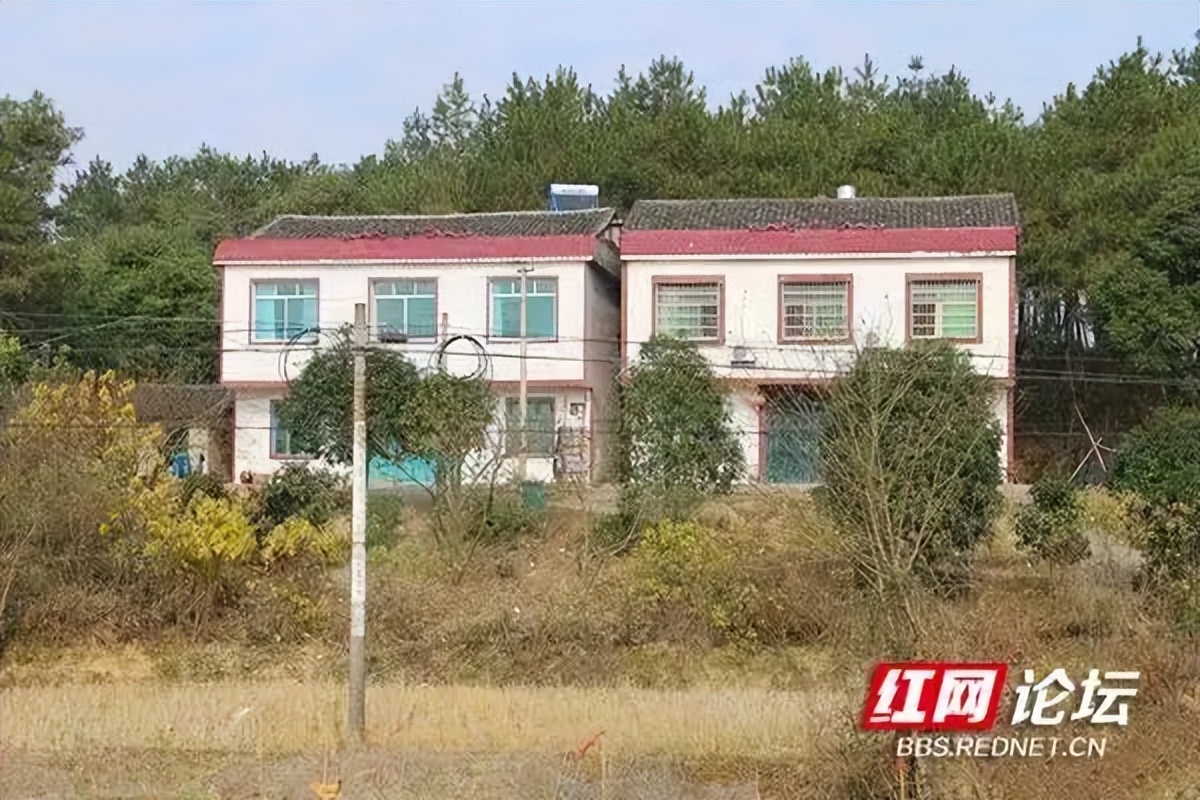 五一回老家，土地被流转了，是谁在割农民的韭菜？