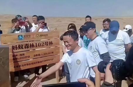 阿里蚂蚁森林怎么赚钱的,蚂蚁森林真的是阿里巴巴掏钱吗