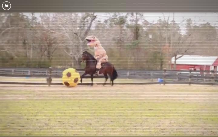 神奇的10个有趣网站,5个实用有趣的网站