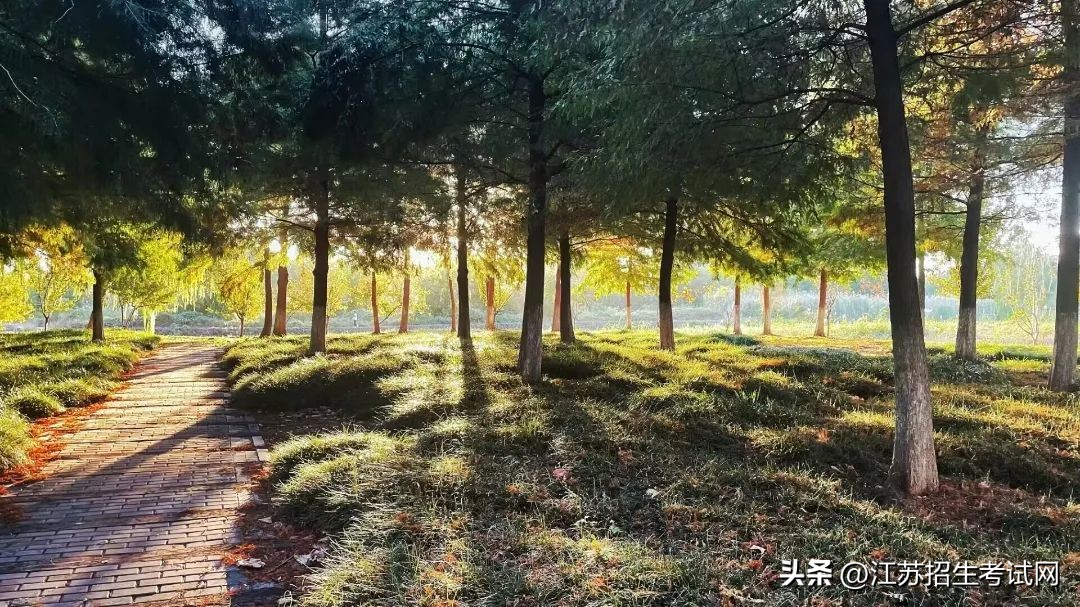 南京铁道职业技术学院怎么样招生,春招有没有南京铁道职业技术学院