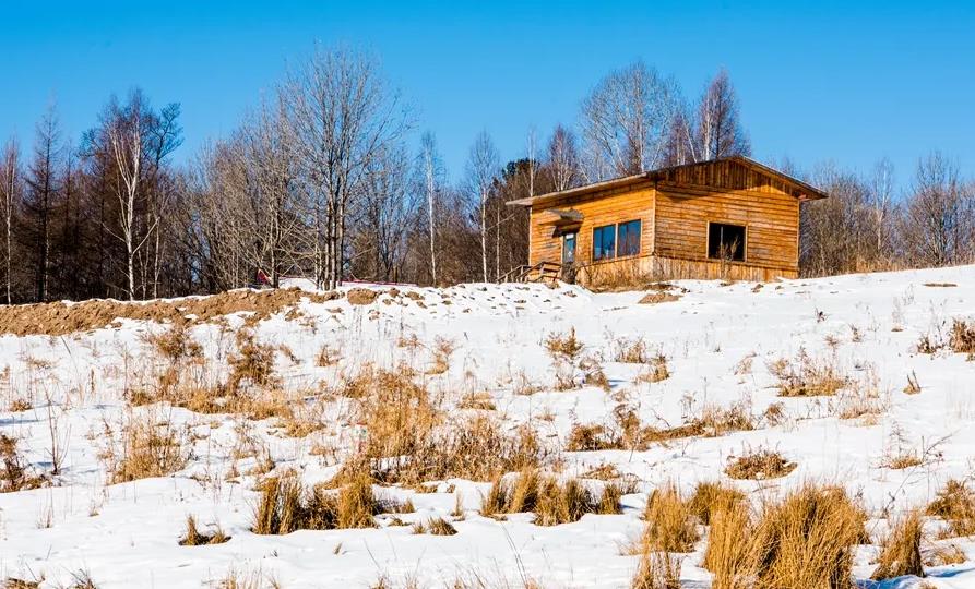 数九俗称交九,数九到九九有什么说法