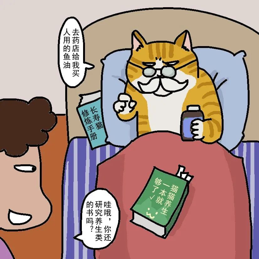 猫咪上火的症状和治疗方法,猫咪嘴巴上火起泡怎么快速消除