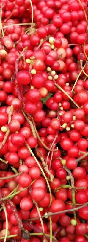 白山市出发五一2-3天短途旅游推荐,冬季白山周边一日游景点大全