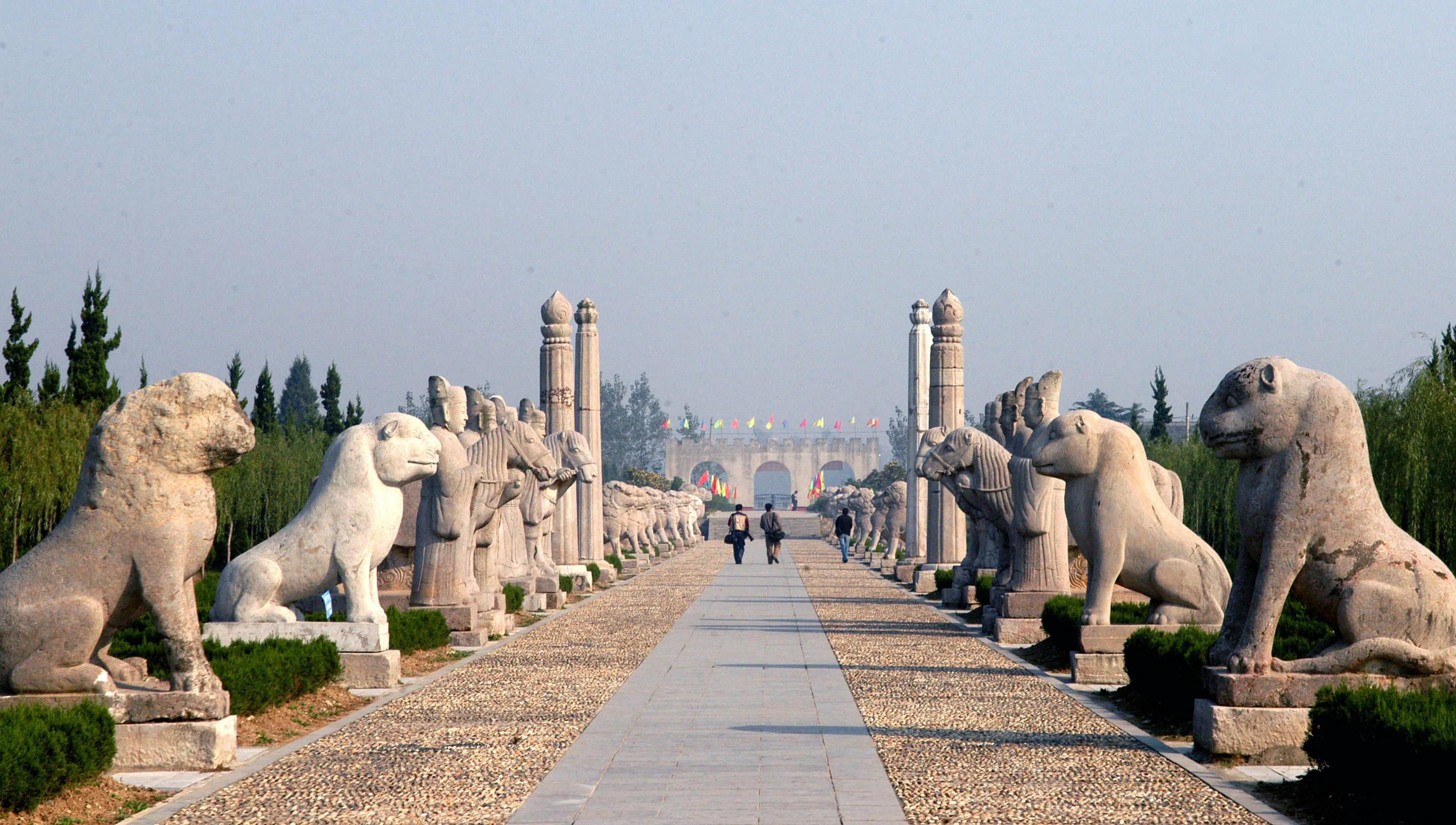 坟地被树遮阴好吗,坟头有树遮阴风水好不好
