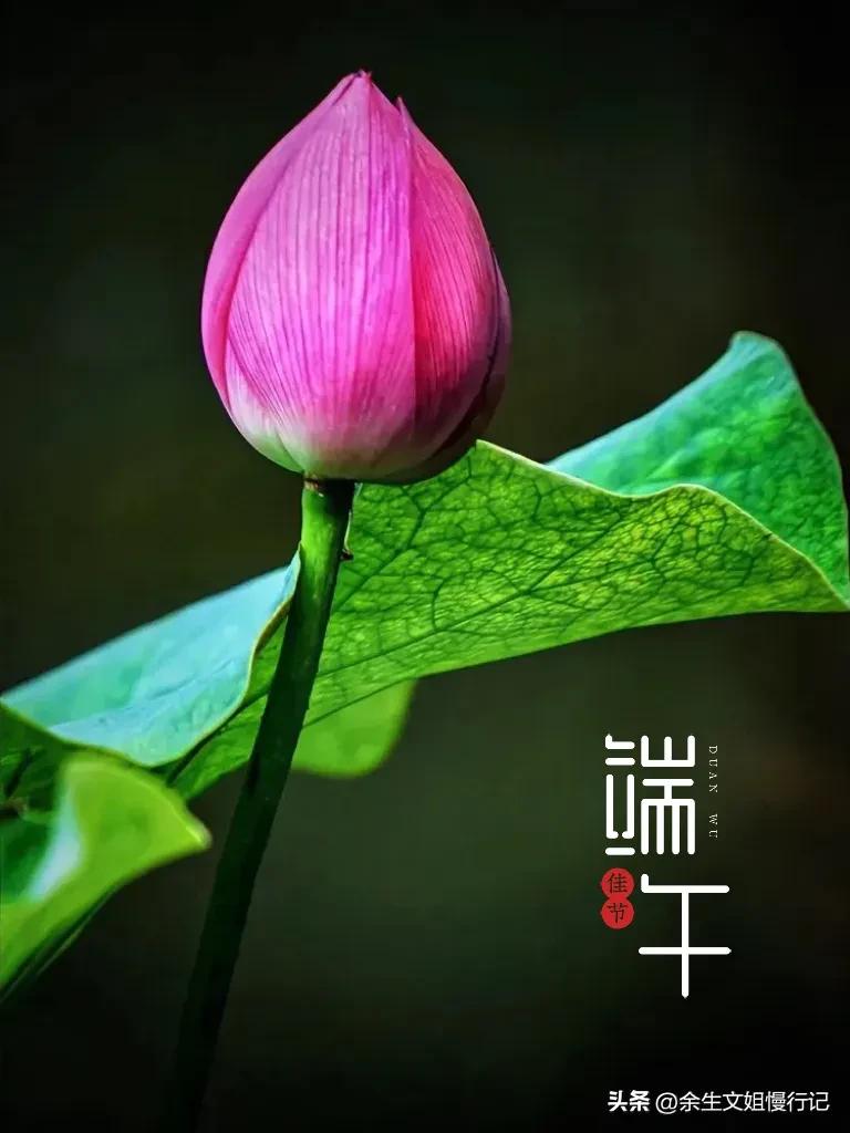 端午节的起源和演变手抄报,端午节的起源和哪个人物无关