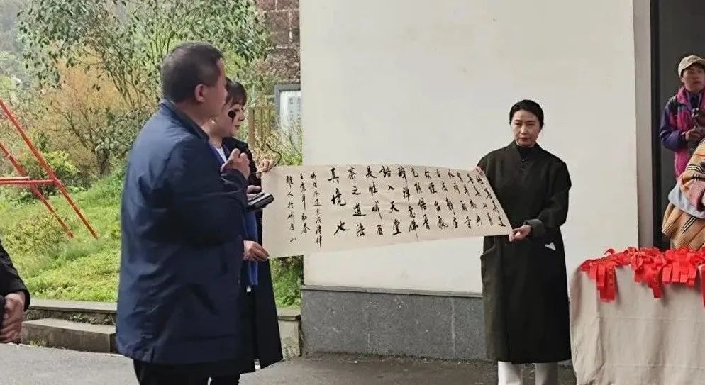 淡定从容峨眉雪芽,经典峨眉雪芽