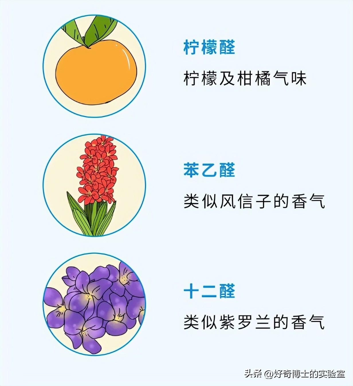 女生闻到的男人味到底是啥味,女生闻到男生身上的香味很刺鼻