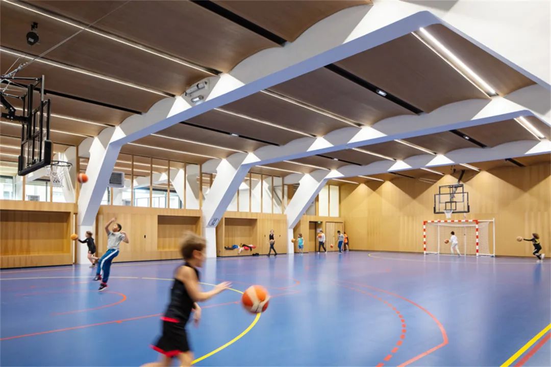 小学体育馆设计案例大全,学校体育馆功能设计方案