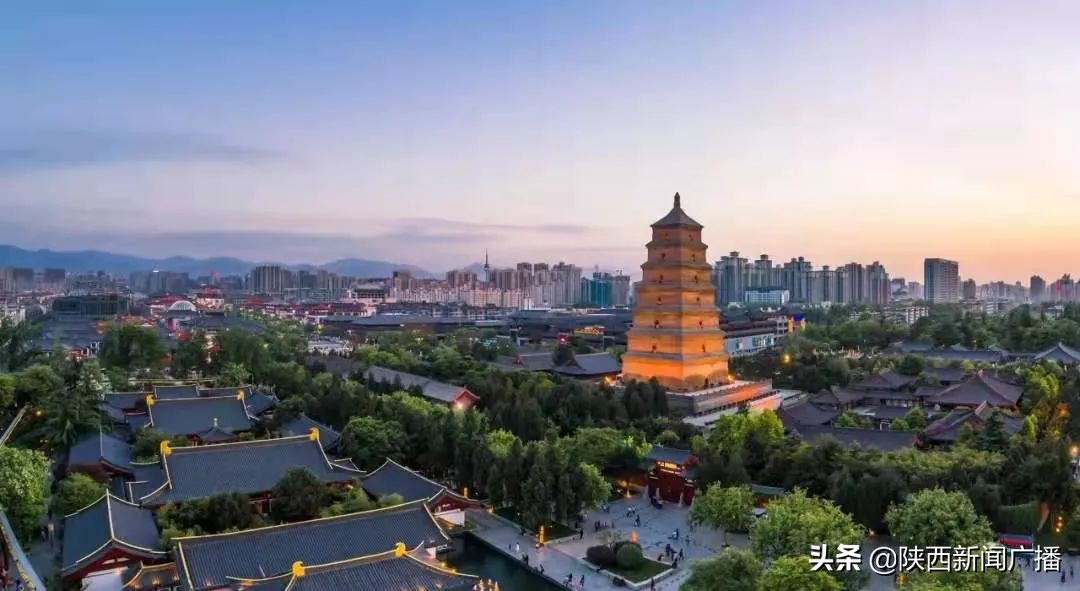 鎼烘墜鍏辨垬鐤儏鑷存暚鐧借。鍗＋,鎴樼柅鎯呭叡鍧氬畧鎰熸仼鎶楃柅鑻遍泟鏈楄