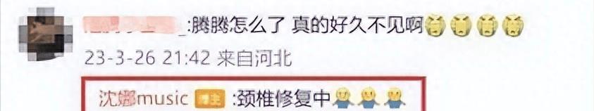 曝沈腾停工赴日本做康复,沈腾赴日本做康复治疗事件