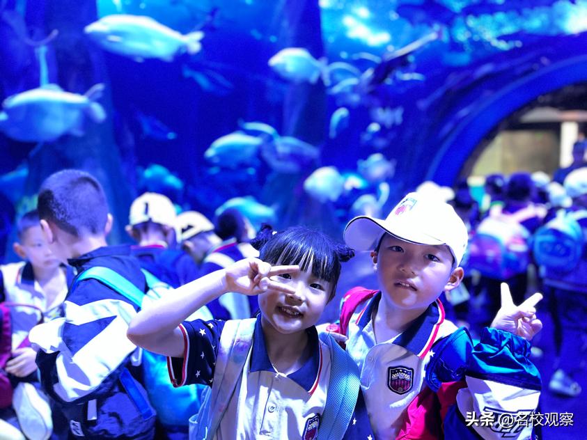 蔚蓝做苍穹，鱼儿变繁星！新川学子，走进浩海立方，探秘无限海洋