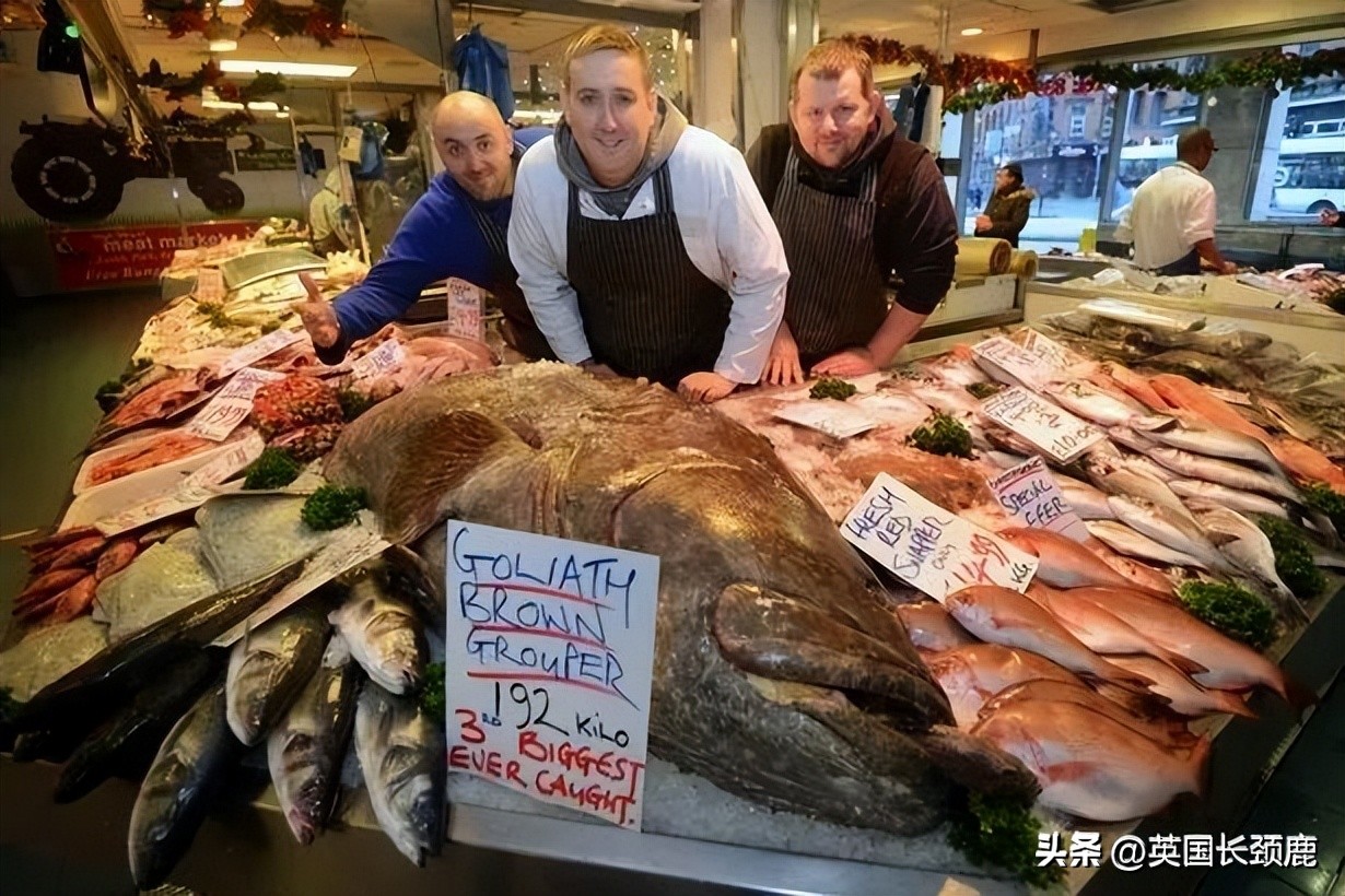 在伦敦哪里买新鲜的海鲜,伦敦海鲜市场买什么海鲜