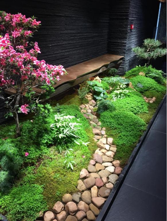 日式小景观,小清新景观