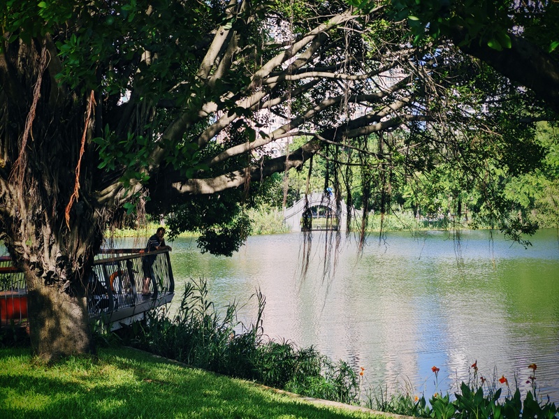 深圳ENJOY｜城市漫游指南·蛇口