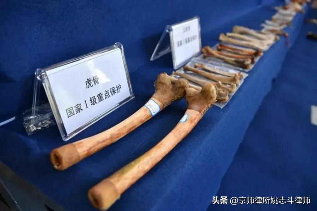 非法收购、运输、出售珍贵、濒危野生动物及其制品罪的定罪和量刑