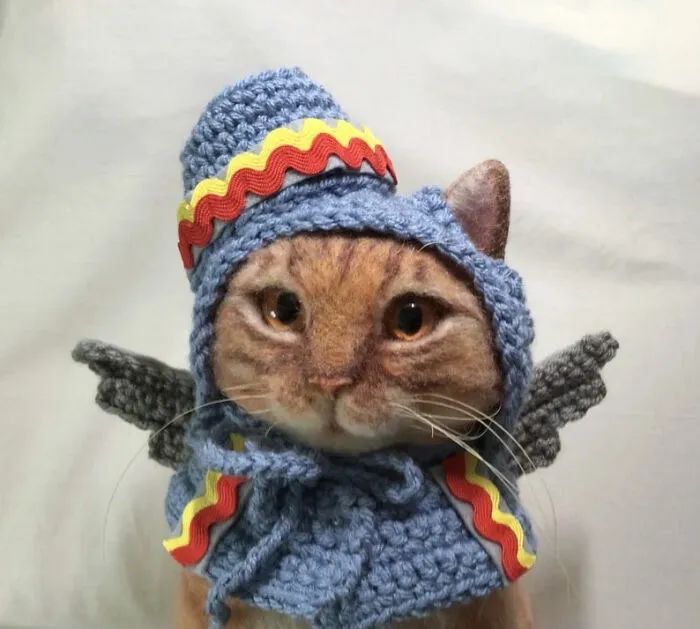 给猫咪编织帽子,给猫编织帽