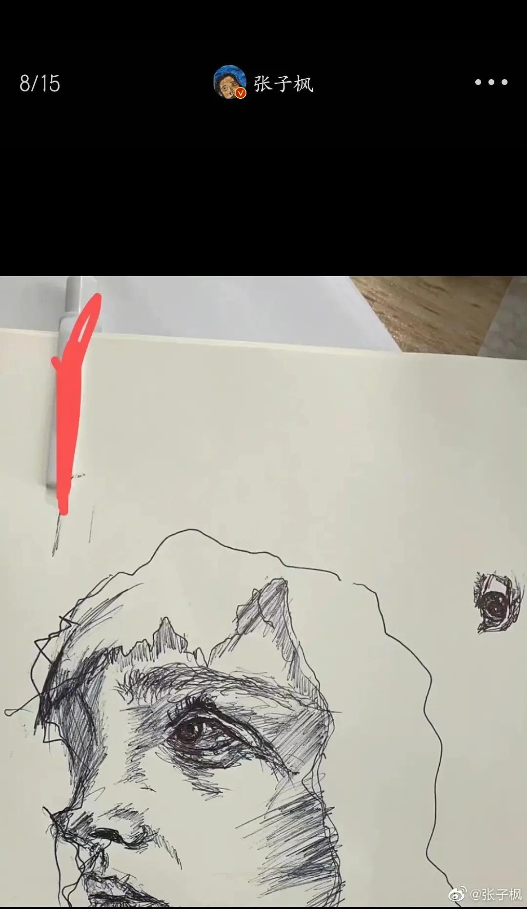 焉栩嘉张子枫什么时候在一起的,焉栩嘉张子枫怎么公开的