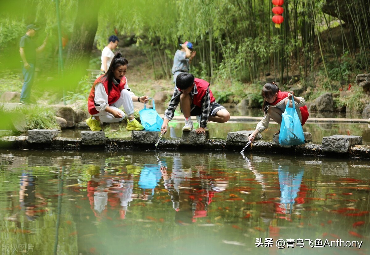 绿色是发展的最美底色,绿色生态与和谐共生