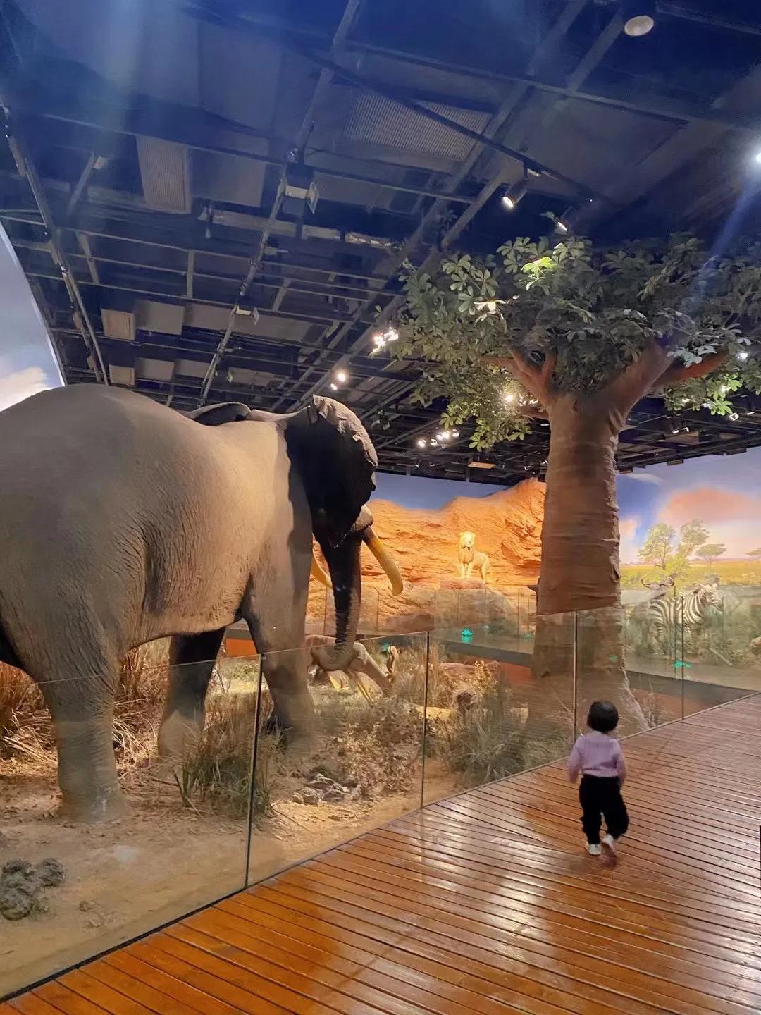 杭州博物馆与浙江博物馆哪个好,杭州博物馆和浙江博物馆