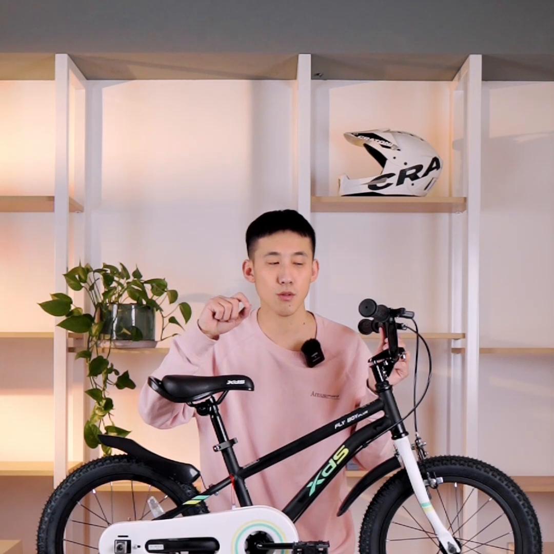 喜德盛电助力脚踏车,喜德盛脚踏车